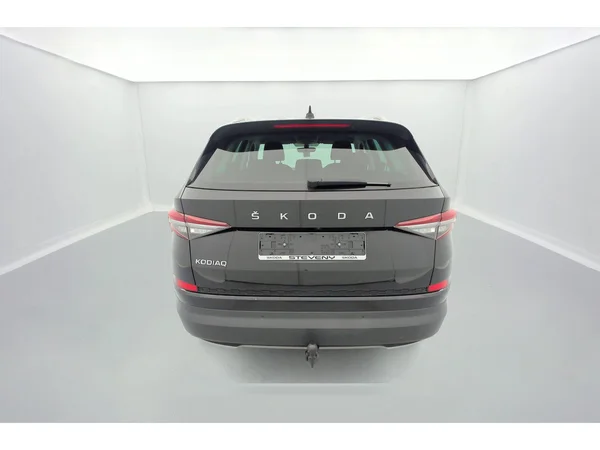 SKODA Kodiaq (2022) — foto 3 van 36