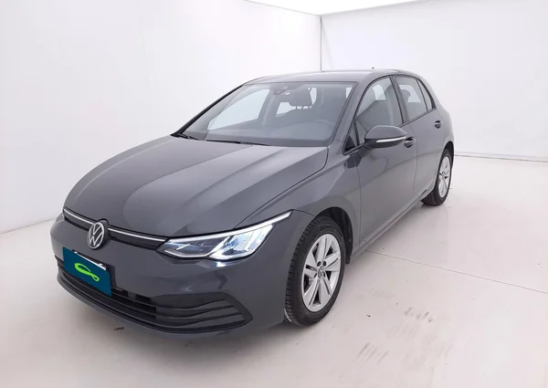 Volkswagen Golf VIII (2023) — foto 29 van 30