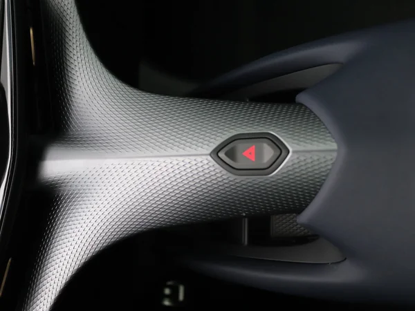 CUPRA Tavascan (2024) — foto 9 van 36