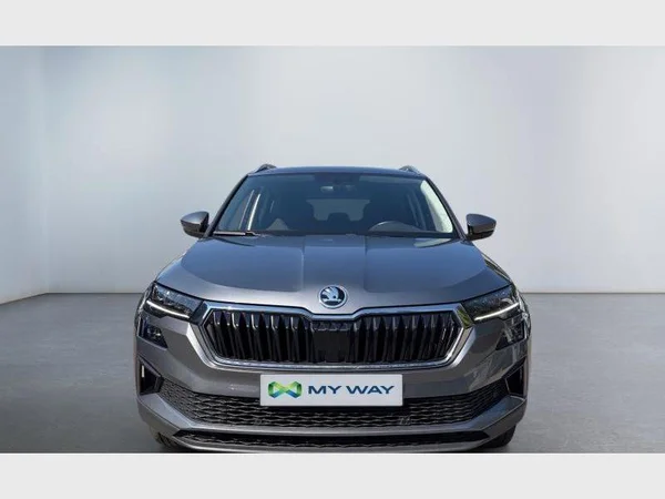 Skoda Karoq (2022) — foto 12 van 27
