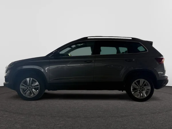 SKODA Karoq (2025) — foto 12 van 24