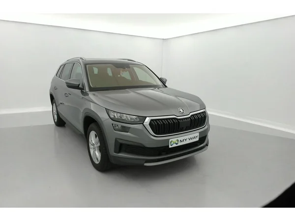 SKODA Kodiaq (2022) — foto 23 van 36