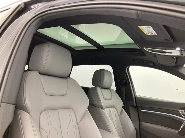 AUDI e-tron (2019) — foto 16 van 31