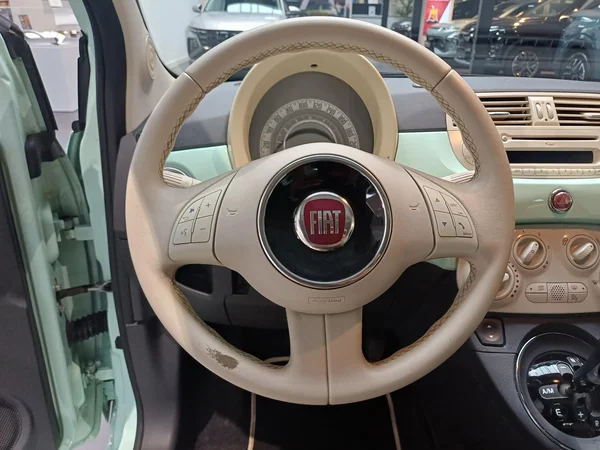 Fiat 500 (2015) — foto 6 van 22