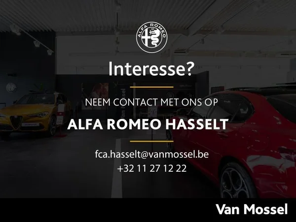 Alfa Romeo Stelvio (2021) — foto 10 van 15