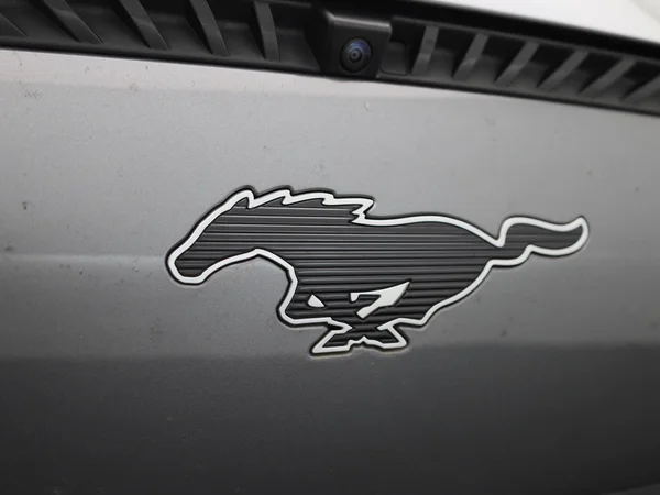 Ford Mustang Mach-E (2021) — foto 35 van 43