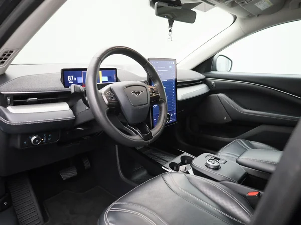 Ford Mustang Mach-E (2021) — foto 29 van 44