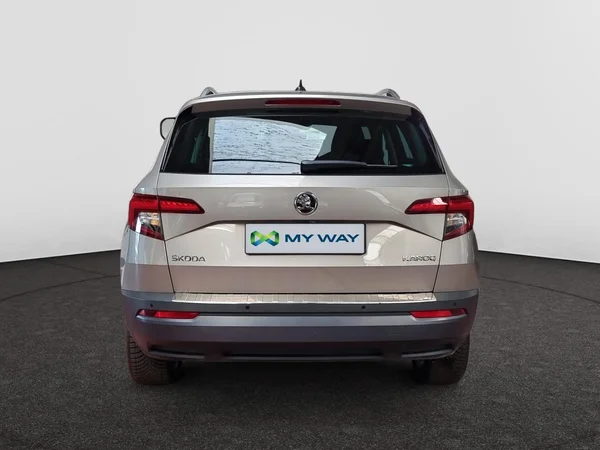 SKODA Karoq (2018) — foto 19 van 23
