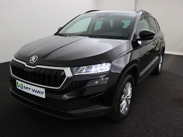 SKODA Karoq (2024) — foto 8 van 18