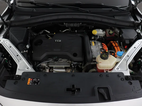 MG EHS (2021) — foto 6 van 34