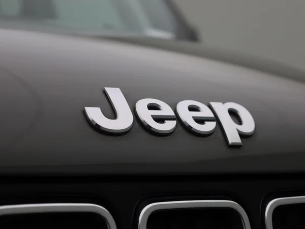 Jeep Renegade (2020) — foto 29 van 39