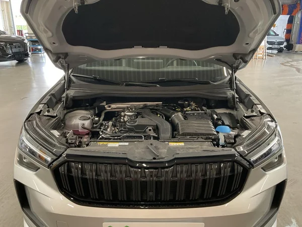 SKODA Kodiaq (2025) — foto 15 van 24