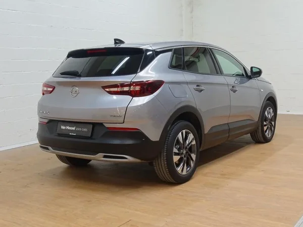 Opel Grandland X (2020) — foto 16 van 19