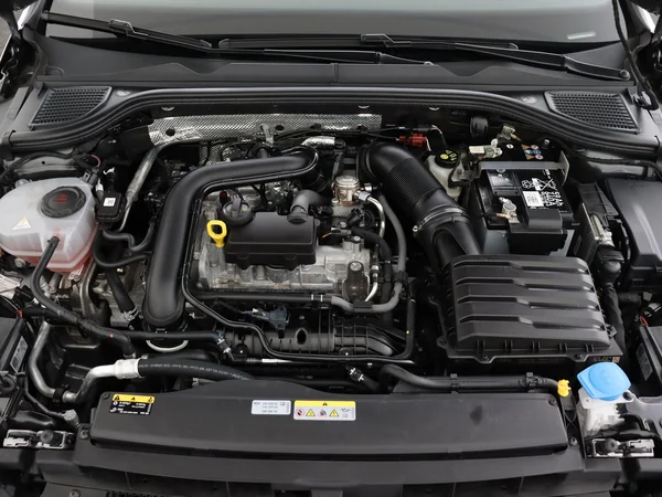 VOLKSWAGEN Golf (2024) — foto 6 van 28
