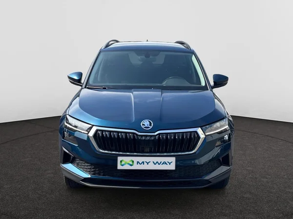 SKODA Karoq Dsl (2023) — foto 13 van 19