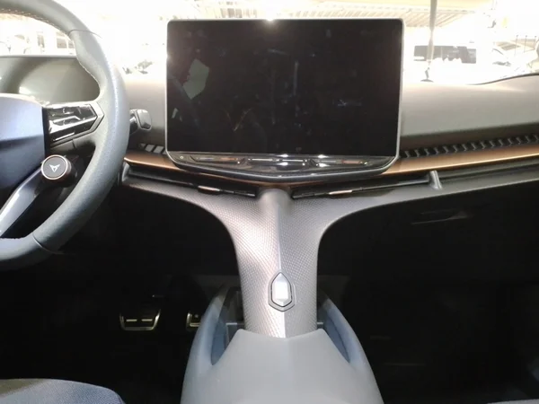 CUPRA Tavascan (2024) — foto 6 van 16