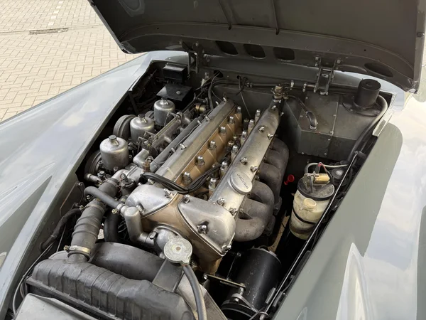 Jaguar XK (1960) — foto 11 van 21