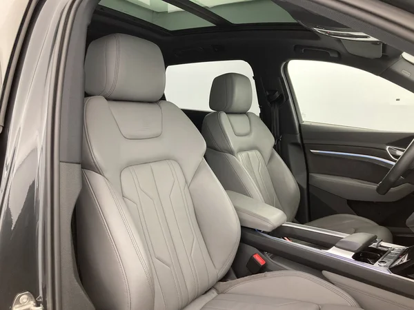 AUDI e-tron (2019) — foto 15 van 31