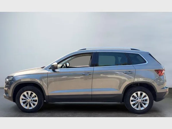 Skoda Karoq (2022) — foto 22 van 27