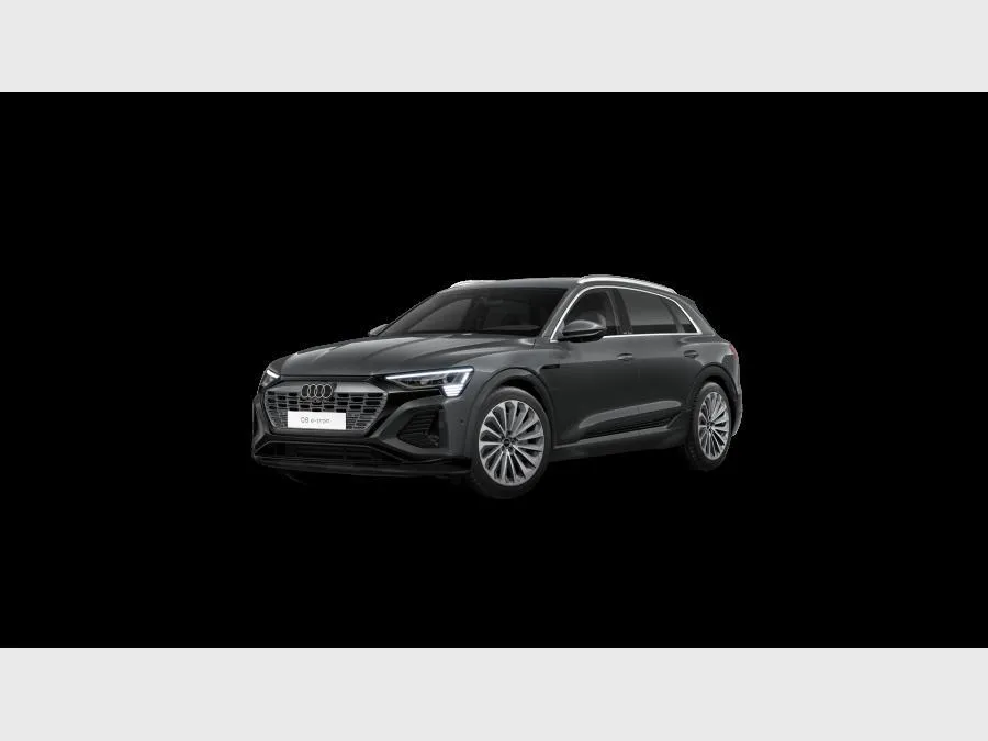 AUDI Q8 e-tron 1122_46218_2025