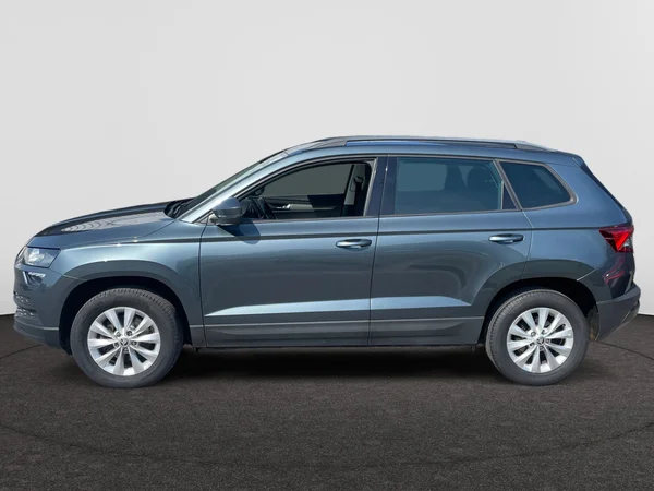 SKODA Karoq (2020) — foto 12 van 21