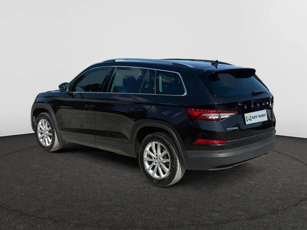 SKODA Kodiaq (2024) — foto 17 van 23