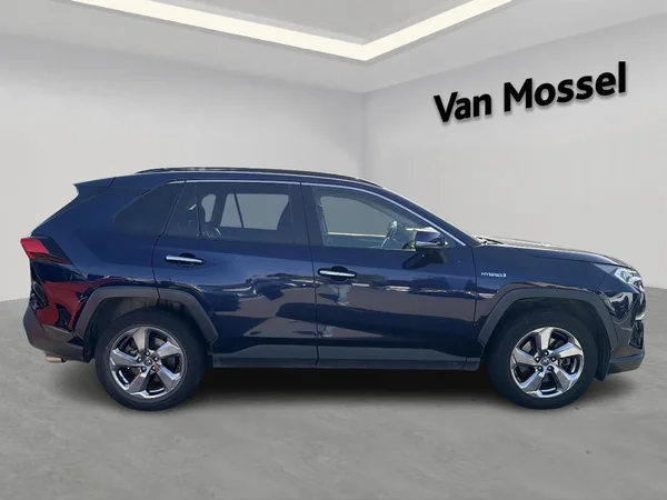 Toyota RAV4 (2019) — foto 14 van 18