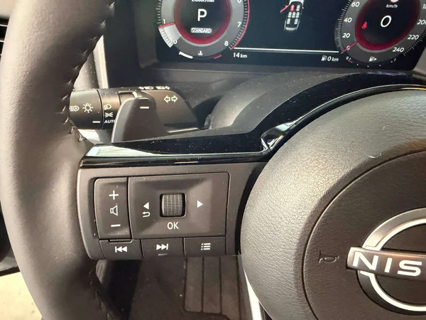 Nissan X-Trail — foto 13 van 24