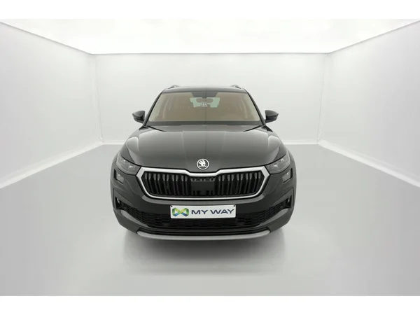 SKODA Kodiaq (2022) — foto 12 van 36