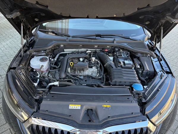 SKODA Octavia Combi (2020) — foto 16 van 24