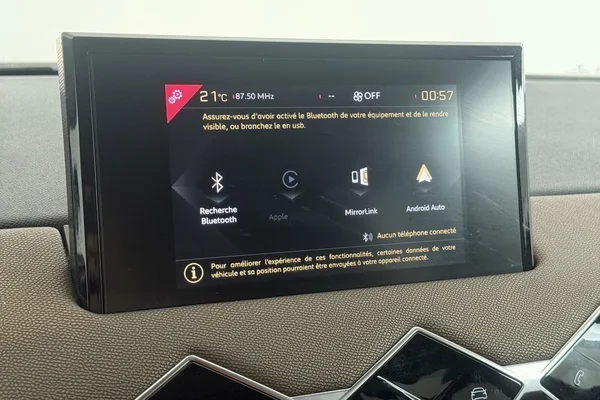 DS Ds 3 Crossback (2020) — foto 43 van 43
