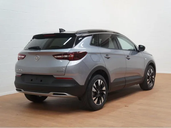 Opel Grandland X (2020) — foto 19 van 21