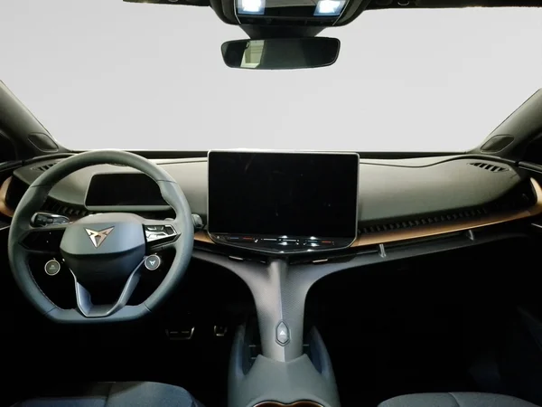 CUPRA Tavascan (2024) — foto 10 van 16