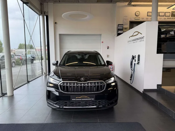 Škoda Kodiaq — foto 12 van 25