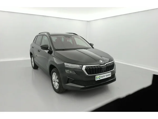 SKODA Karoq (2022) — foto 23 van 36