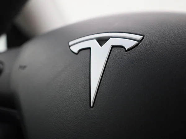 Tesla Model Y (2022) — foto 24 van 42