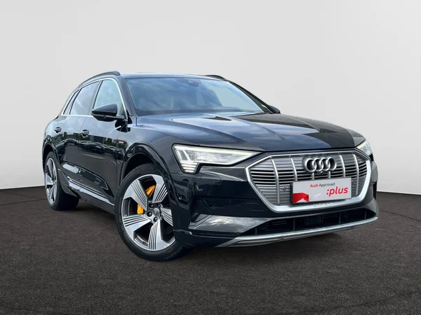 AUDI e-tron (2019) — foto 23 van 24