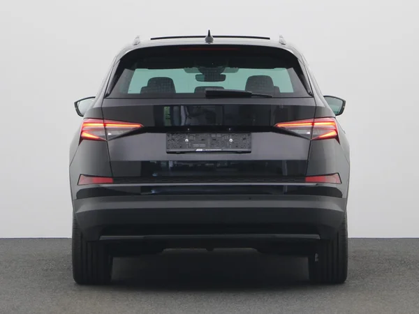 SKODA Kodiaq (2022) — foto 19 van 22