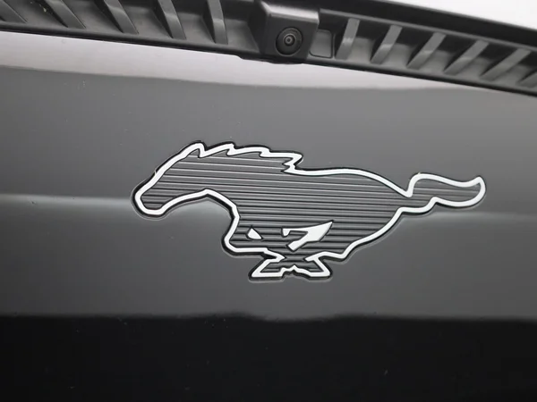 Ford Mustang Mach-E (2021) — foto 36 van 44