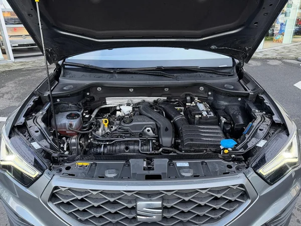SEAT Ateca (2023) — foto 15 van 24
