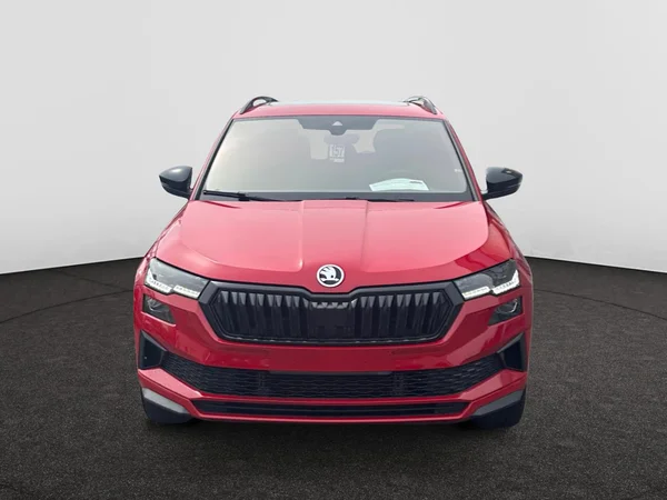 SKODA Karoq (2023) — foto 15 van 21