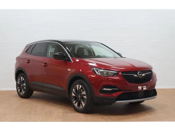 Opel Grandland X (2020) — foto 12 van 20
