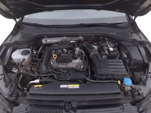 Volkswagen Golf VIII (2022) — foto 11 van 31