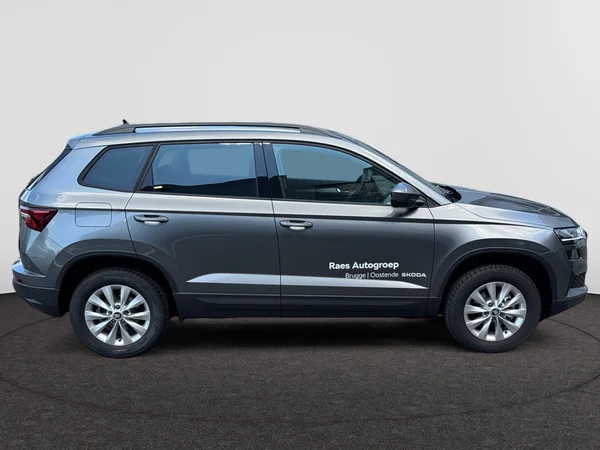 SKODA Karoq (2025) — foto 19 van 20