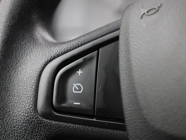 Renault Kangoo Z.E. (2020) — foto 16 van 42
