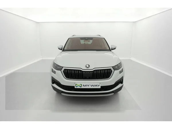 SKODA Kodiaq (2022) — foto 12 van 36