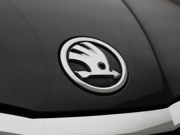 Škoda Octavia (2021) — foto 36 van 41