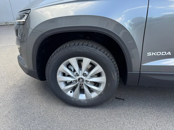 SKODA Karoq (2025) — foto 11 van 20