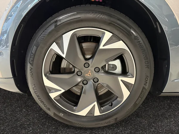 CUPRA Tavascan (2025) — foto 6 van 18