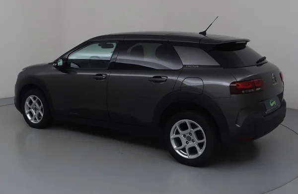 Citroen C4 Cactus (2019) — foto 23 van 34